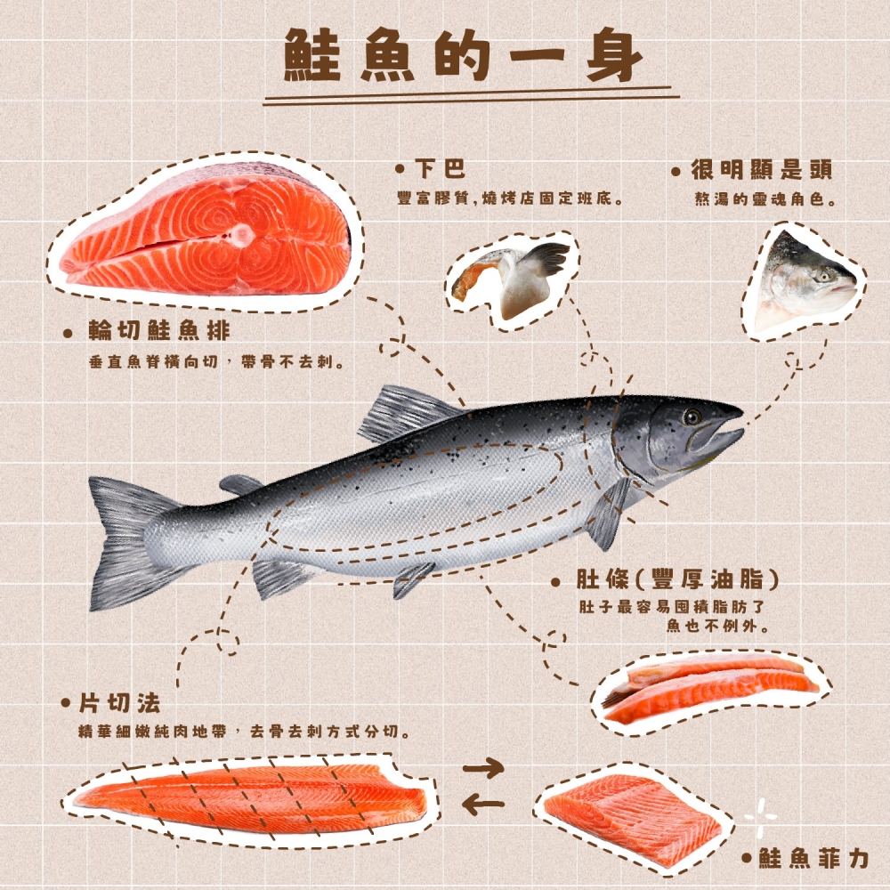 鮭魚部位說明